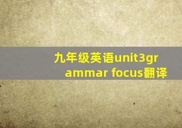 九年级英语unit3grammar focus翻译